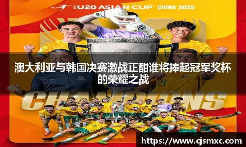 澳大利亚与韩国决赛激战正酣谁将捧起冠军奖杯的荣耀之战