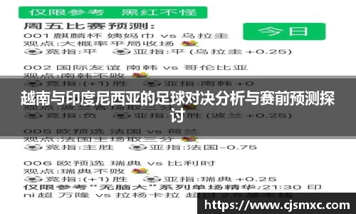 越南与印度尼西亚的足球对决分析与赛前预测探讨